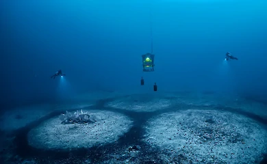 Разгадана тайна кольцевых образований на дне Средиземного моря
