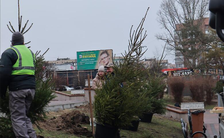 Неподалеку от Аллеи Героев в Обухове высадили молодые елки