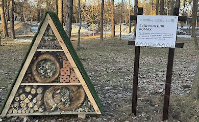 В Киеве открыли первое общежитие для насекомых: защита природы в условиях мегаполиса