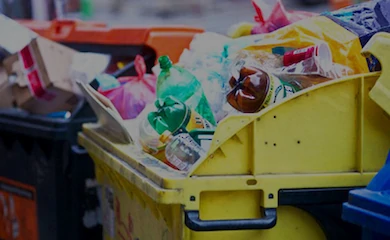 Мусорный скандал в Обухове: в горсовете проводят служебное расследование в отношении руководительницы жилищно-коммунального отдела (ДОКУМЕНТ)