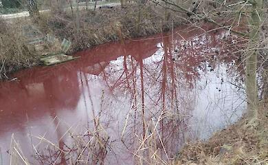 В селе неподалеку Обухова обнаружили водоем необычного цвета: подозревают загрязнение