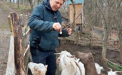 Солнце не всегда поможет: как регенеративная ферма "Подкова" преодолевает зимние вызовы