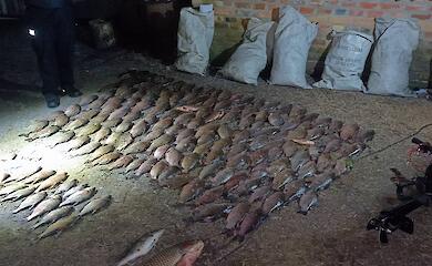 Более 250 тыс гривен убытков нанес браконьер в Обуховском районе