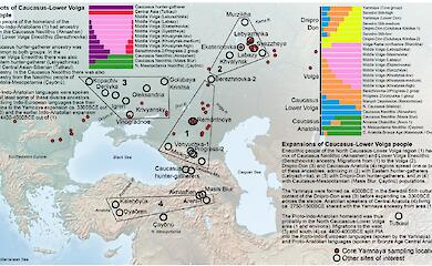 Обухівські "арії-аграрії" в світлі останніх генетичних досліджень