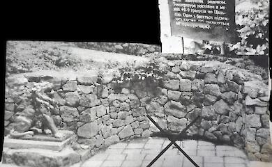 Чем закончилась экологическая катастрофа в дендропарке "Александрия" 25 лет назад