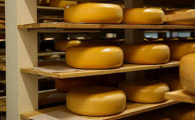 Лидера сырного рынка, завод, принадлежавший экс-нардепу от Обухова, продали за долги