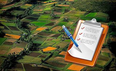 Справедливость восстановлена: 500 га земли возвращено Васильковской громаде