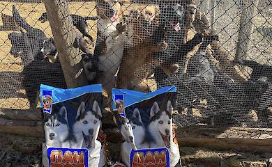 Ржищевская громада присоединилась к инициативе по поддержке бездомных животных