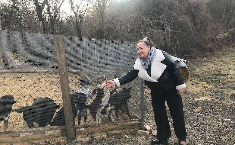 Ржищевская громада присоединилась к инициативе по поддержке бездомных животных