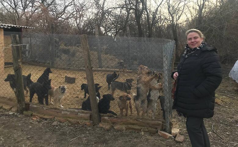 Ржищевская громада присоединилась к инициативе по поддержке бездомных животных