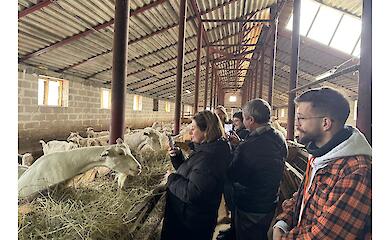 Представители посольства Швейцарии посетили крафтовых сыроделов возле Богуслава