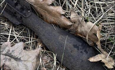 В Белоцерковском районе во время поиска грибов обнаружили минометную мину