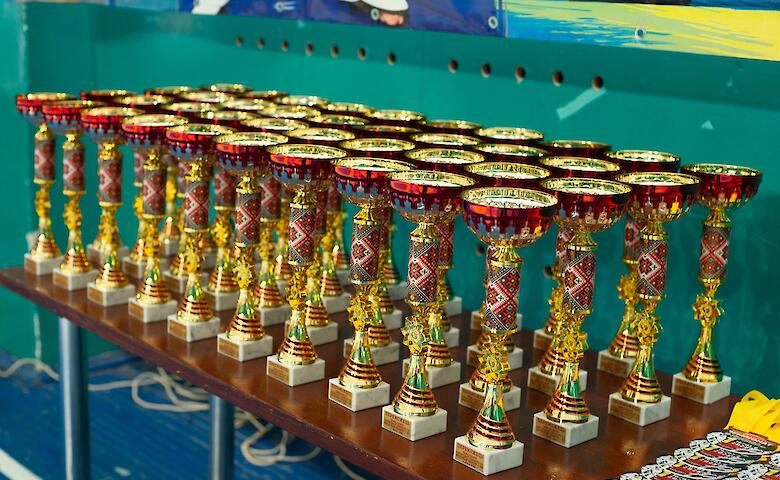 Обуховские каратисты завоевали 33 медали на чемпионате Киевщины