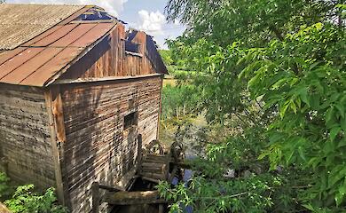 Обуховский городской совет не заинтересован в сохранении уникальной деревянной мельницы, единственной аутентичной на Киевщине