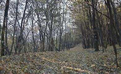 У Ржищеві створюють екостежку: запрошують долучитися всіх охочих