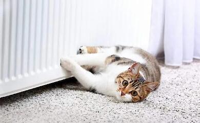 Со следующей недели в Козине завершается отопительный сезон: дата