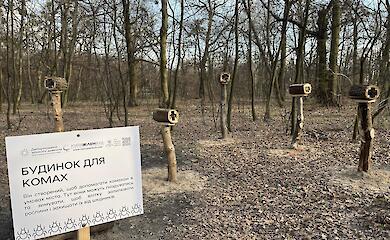Дома для насекомых на Сырце вызвали жаркую дискуссию