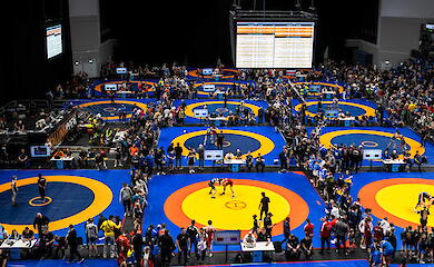 Борчиха из Обуховщины стала победительницей турнира в Эстонии