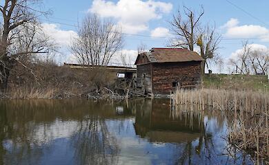 Уникальная деревянная мельница в селе Семеновка не памятник: что не так с экспертизой горсовета