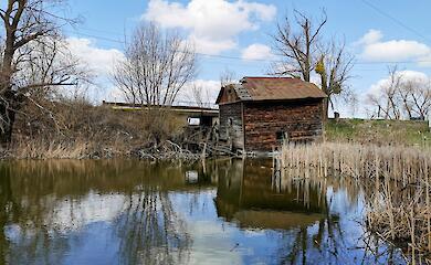 Последняя деревянная мельница Киевщины: почему на Обуховщине хотят сохранить уникальный памятник