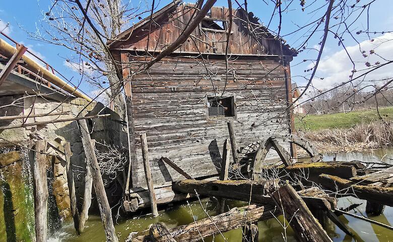 Последняя деревянная мельница Киевщины: на Обуховщине хотят сохранить уникальный памятник