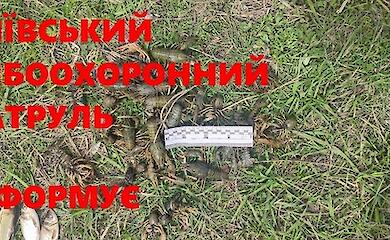 На Обуховщине браконьер наловил рыбы почти на 280 тысяч гривен