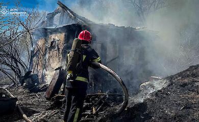 На Обуховщине из-за сжигания травы загорелось хозяйство - погибли домашние животные