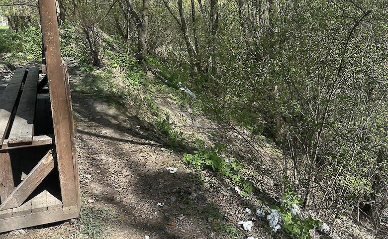 Отдыхающие на Пасху забросали мусором ботанический заказник на Обуховщине