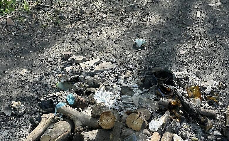 Отдыхающие на Пасху забросали мусором ботанический заказник на Обуховщине