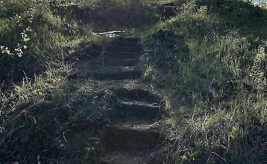 На Ржищевской экотропе проложен новый участок между Иван горой и Монастырем