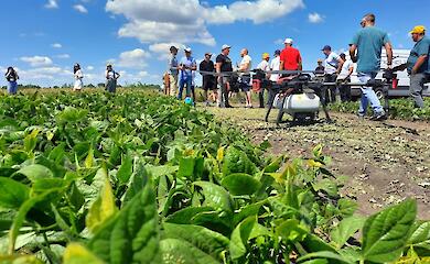 Фокус на бобовые и современные агротехнологии: на Обуховщине состоится грандиозный Всеукраинский День Поля