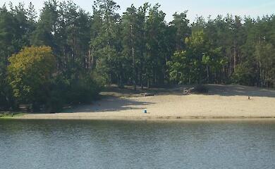 фото иллюстративное