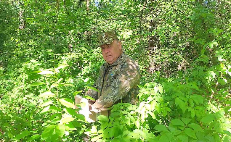 В Обуховском районе началась вакцинация диких животных против бешенства