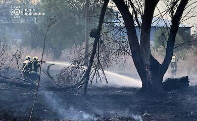 Масштабный пожар неподалеку от Обухова: выгорело 45 гектаров травы