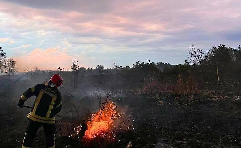Масштабный пожар неподалеку от Обухова: выгорело 45 гектаров травы