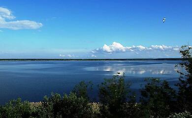 Фото иллюстративное