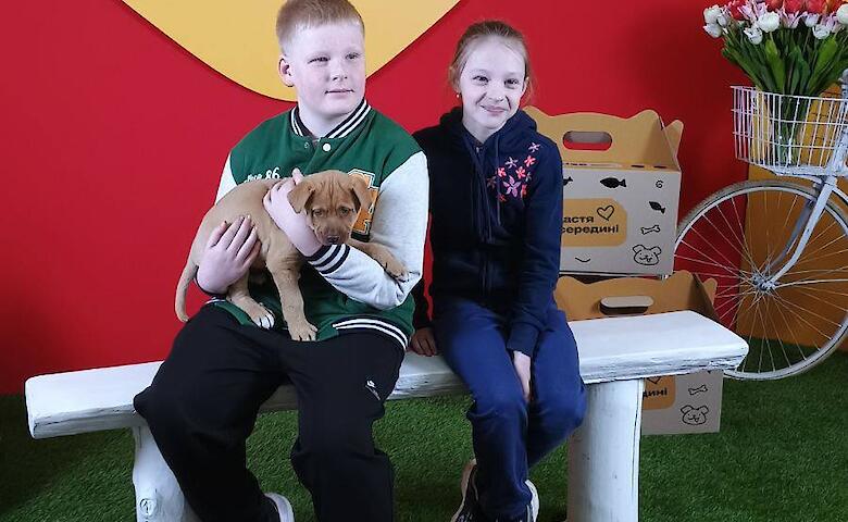 Обуховские хвостики нашли дом: три щенка усыновили на масштабном фестивале адопции в Киеве
