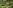 Приложение для натуралистов помогает разоблачать преступления: пример iNaturalist