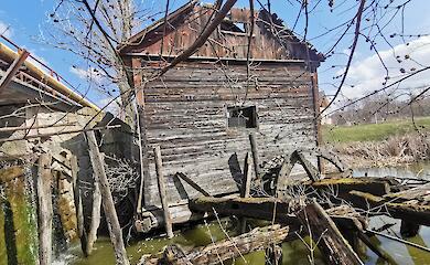 Уникальную, деревянную мельницу в Семеновке признали объектом культурного наследия