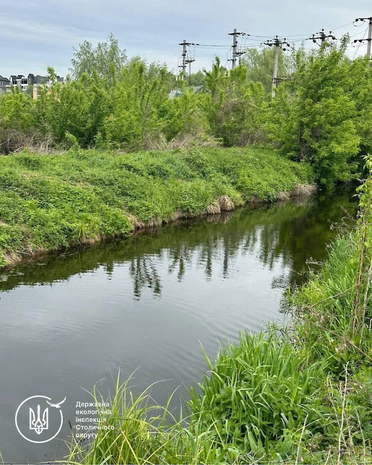 Экоинспекция исследует состояние реки вблизи Обухова