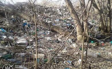 В селе вблизи Обухова обнаружили незаконную свалку: общину обязали убрать