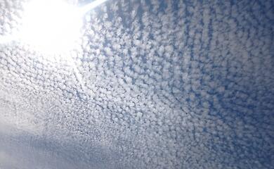 В небе над Обуховом зафиксировали облака, похожие на рыбью чешую (ФОТО)