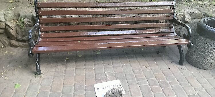 Вандалы снова разбили лавочки возле лицея в Обухове
