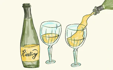 Biologist сажает рислинг из Молдовы: приживется ли он на Обуховщине