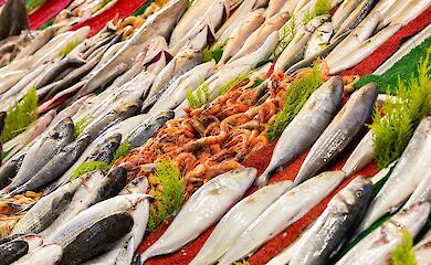 Новые данные показали сколько боли переживает рыба во время забоя