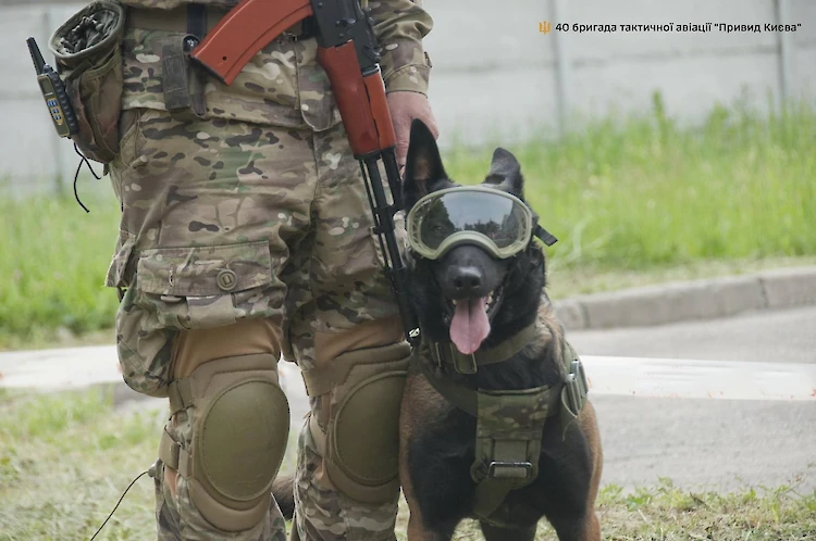 Кинологи "Призрака Киева" познакомили детей с боевыми собаками