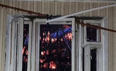Після останньої нічної атаки на Київ врятовано кількох кішок, собаку й надію