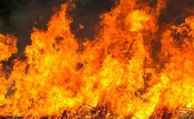 В селах Богуславщины за три дня вспыхнули четыре пожара