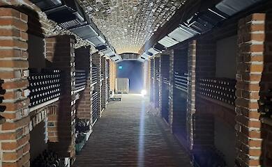 В Обуховском районе создали уникальную винодельню с глиняным терруаром