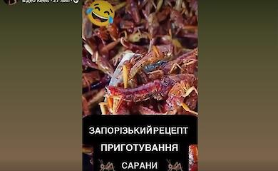 Новый гастрономический тренд: в Запорожье начали делать закуску из саранчи